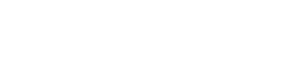 MT Cluster